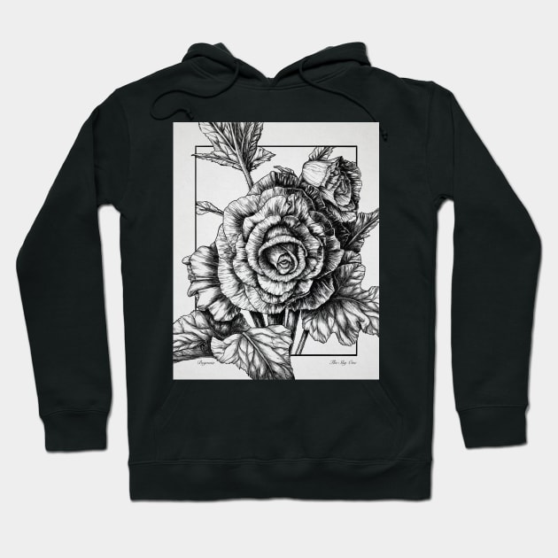 Begonia botanical drawing Hoodie by ChrisiMM